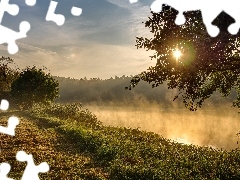 Trawa, Rzeka, Mgła, Poranek, Słońce, Drzewa