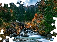 Pożółkłe, Zielone, Kamienie, Drzewa, Mostek, Jesień, La