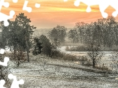 Szron, Zima, Rzeka, Poranek, Śnieg, Drzewa