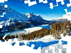 Góry Canadian Rockies, Jezioro Peyto Lake, Drzewa, Park Nar