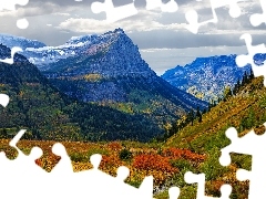Kolorowe, Góry Skaliste, Montana, Jesień, Park Narodowy Glacier, Rośliny, Stany Zjednoczone