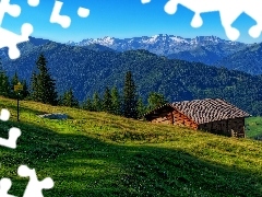Góry, Dom, Łąka, Lasy