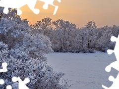 Gałęzie, Drzewa, Śnieg, Ośnieżone, Zima