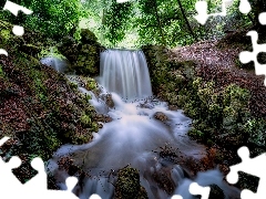 Rzeka, Drzewa, Tipperary, Wodospad, Las, Kamienie, Irlandia