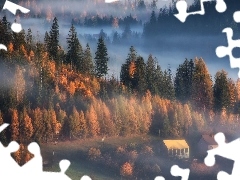 Jesień, Mgła, Domy, Las