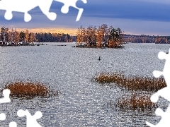 Jezioro, Jesienne, Drzewa, Trawy