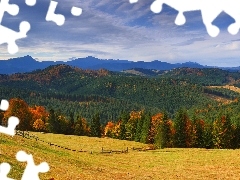 Łąki, Drzewa, Lasy, Jesień, Góry