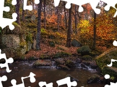Kamienie, Las, Skała, Drzewa, Jesień, Omszona, Rzeczka