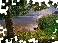 Szuwary, Brzeg, Promienie słońca, Drzewo, Jezioro, Trawa, 