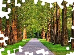 Szpalery, Park, Trawa, Alejka, Drzewa, Lato