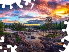 Teren Koiteli, Rzeka Kiiminkijoki, Kiiminki, Finlandia, Drze