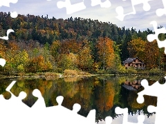 Kolorowe, Drzewa, Jezioro, Dom, Jesień