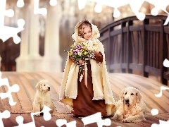 Psy, Peleryna, Szczeniak, Kwiaty, Dziewczynka, Golden retriever, Most