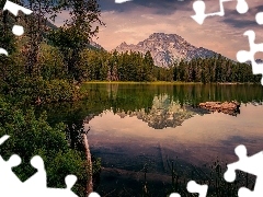 Jezioro Leigh Lake, Stan Wyoming, Lasy, Park Narodowy Grand 