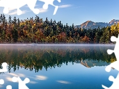 Góry, Las, Szwajcaria, Drzewa, Kanton Gryzonia, Lake Cresta, Jezioro, Jesień