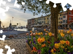 Drzewo, Domy, Włochy, Zatoka, Portofino, Tulipany, Kwiaty, 