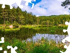 Chmury, Drzewa, Jezioro, Drzewa, Las