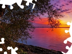 Brzeg, Zachód słońca, Drzewo, Jezioro