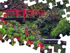 Czerwony, Ogród, Mostek, Krzew, Stan Waszyngton, Stany Zjednoczone, Kubota Garden, Seattle, Różanecznik