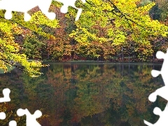 Drzewa, Jesień, Rezerwat, Las, Jezioro