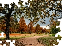 Ścieżka, Ławka, Drzewa, Park, Jesień