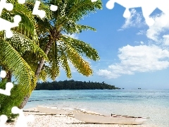 Morze, Palmy, Łódki, Plaża