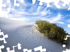 Wydma, Pustynia, Rośliny, Biały, Nowy Meksyk, Stany Zjednoczone, Pomnik narodowy, White Sands National Monument, Piasek