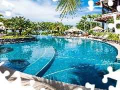 Hotel, Basen, Tamarindo, Palmy, Wakacje, Hacienda Pinilla, K