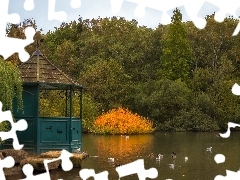 Drzewa, Park, Kamienie, Kaczki, Altana, Staw