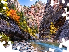 Kanion Zion Narrows, Stan Utah, Roślinność, Park Narodowy