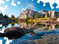 Drzewa, Tyrol, Dolomity, Konar, Jezioro, Włochy, Góry, Odb