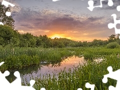 Trawy, Rzeka, Wschód słońca, Chmury, Szuwary, Drzewa