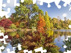 Jezioro, Jesień, Sussex, Anglia, Park Sheffield, Drzewa