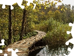 Szuwary, Drzewa, Park Narodowy Jezior Plitwickich, Chorwacja, Jezioro, Pomost