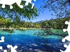 Drzewa, Gałęzie, Jezioro, Lake Jasna, Słowenia