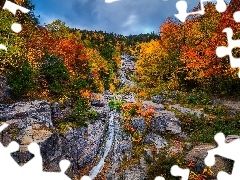 Saco River, Las, Skały, Stan New Hampshire, Kaskada, Jesie