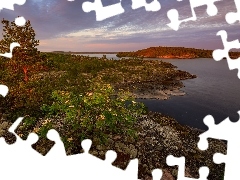 Jezioro, Ładoga, Roślinność, Wysepka, Drzewa, Karelia, R