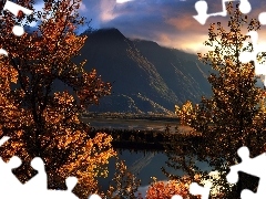 Góry, Drzewa