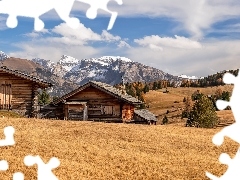 Domki, Dolina Val Gardena, Dolomity, Chmury, Wzgórza, Płaskowyż Seiser Alm, Góry Sassolungo, Włochy, Drzewa, Drewniane