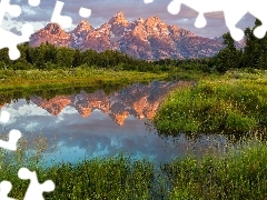 Pasmo górskie Teton, Stan Wyoming, Drzewa, Park Narodowy Gr