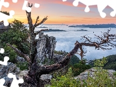 Skały, Góry, Drzewo, Mgła, Wschód słońca, Uschnięte, 