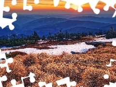 Śnieg, Zachód słońca, Sucha, Trawa, Drzewa, Góry