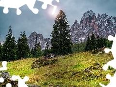 Polana, Góry, Dolomity, Włochy, Wschód słońca, Drzewa