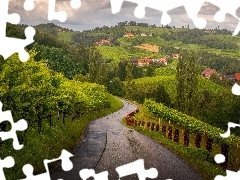 Domy, Droga, Styria, Pola, Winnice, Sudsteiermark, Austria