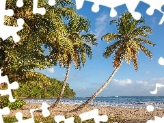 Morze Karaibskie, Grenada, Wyspa, Tropiki, Palmy, Plaża La