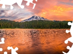 Stratowulkan Mount Rainier, Drzewa, Stany Zjednoczone, Odbic