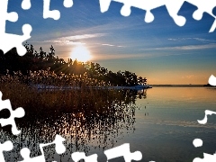 Słońca, Wschód, Jezioro, Szuwary
