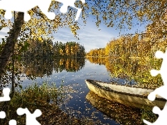 Drzewa, Brzozy, Dzień, Las, Słoneczny, Łódka, Jezioro, J