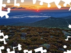 Kamienie, Wzgórza, Karkonosze, Rośliny, Wschód słońca, 