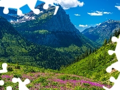 Lato, Łąka, Stany Zjednoczone, Zielone, Montana, Góry Ska